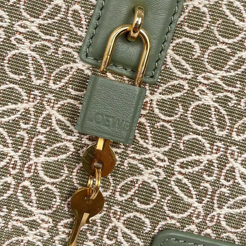 L0ew* bags 2408ya0219