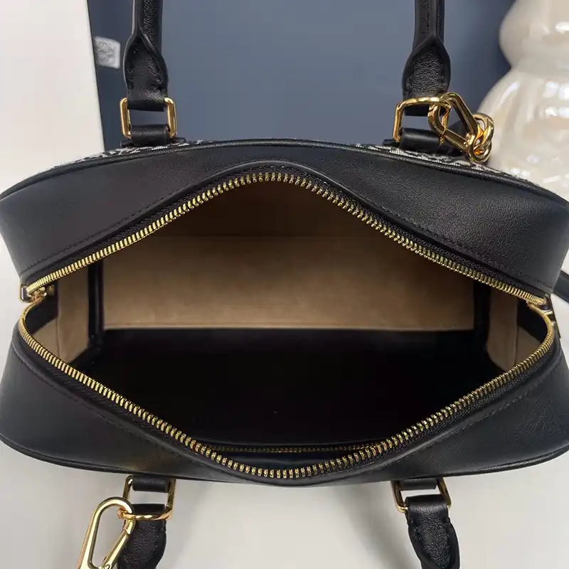 L0ew* bags 2408ya0220