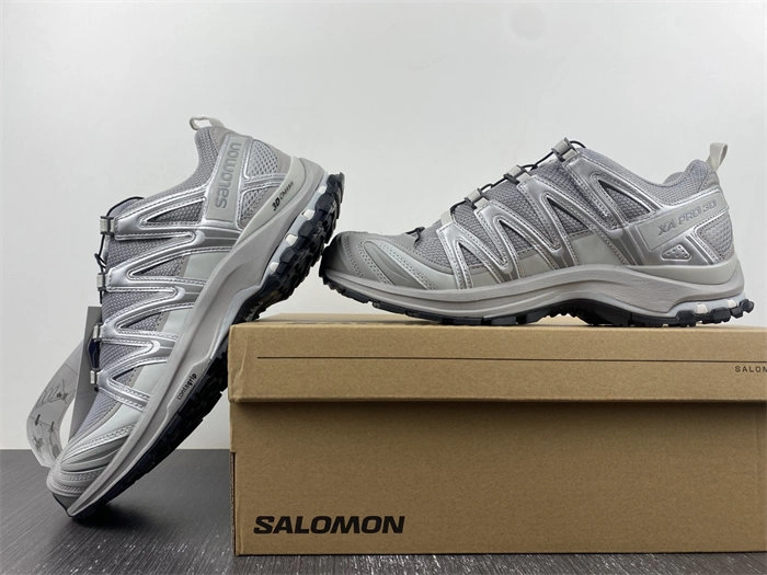 DailyWear Salomon XT-6 5963